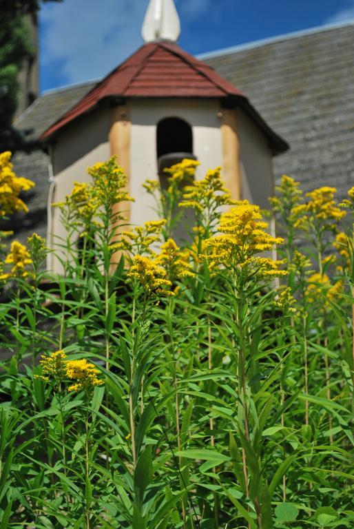 Camping Les Tournesols Sille-le-Guillaume Екстер'єр фото