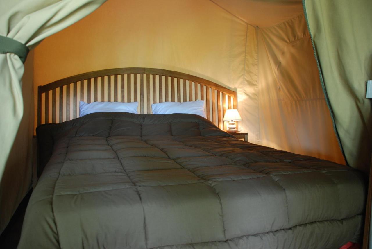 Camping Les Tournesols Sille-le-Guillaume Екстер'єр фото
